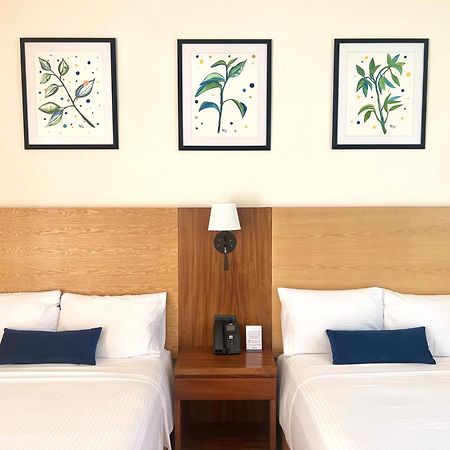 Hotel Plaza Rioverde Rio Verde Ngoại thất bức ảnh