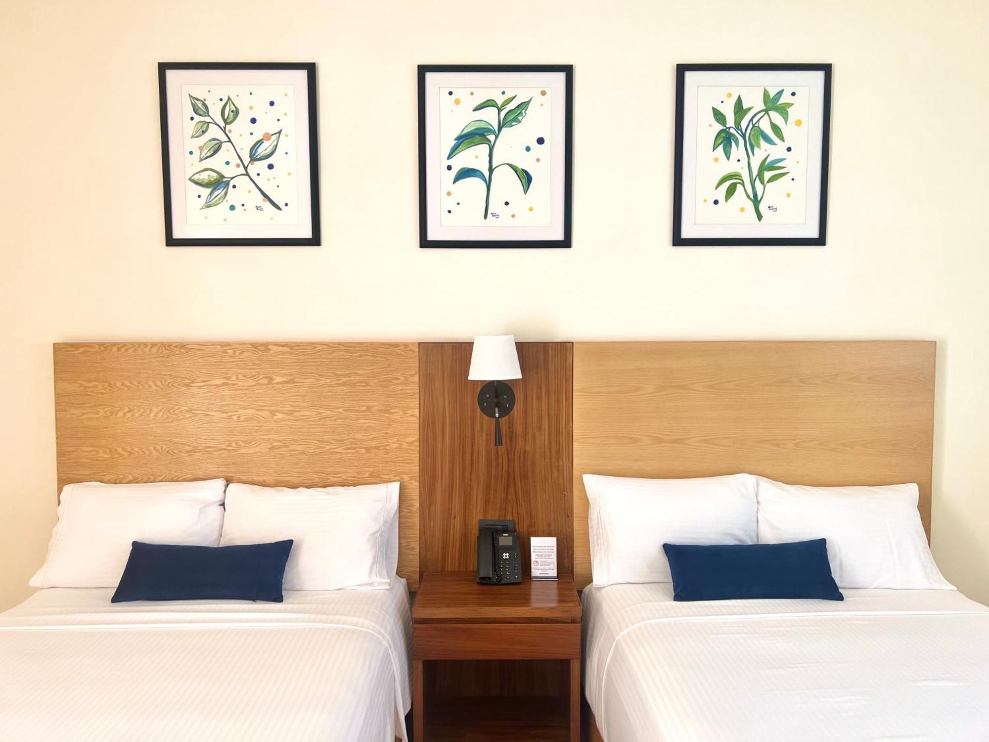 Hotel Plaza Rioverde Rio Verde Ngoại thất bức ảnh